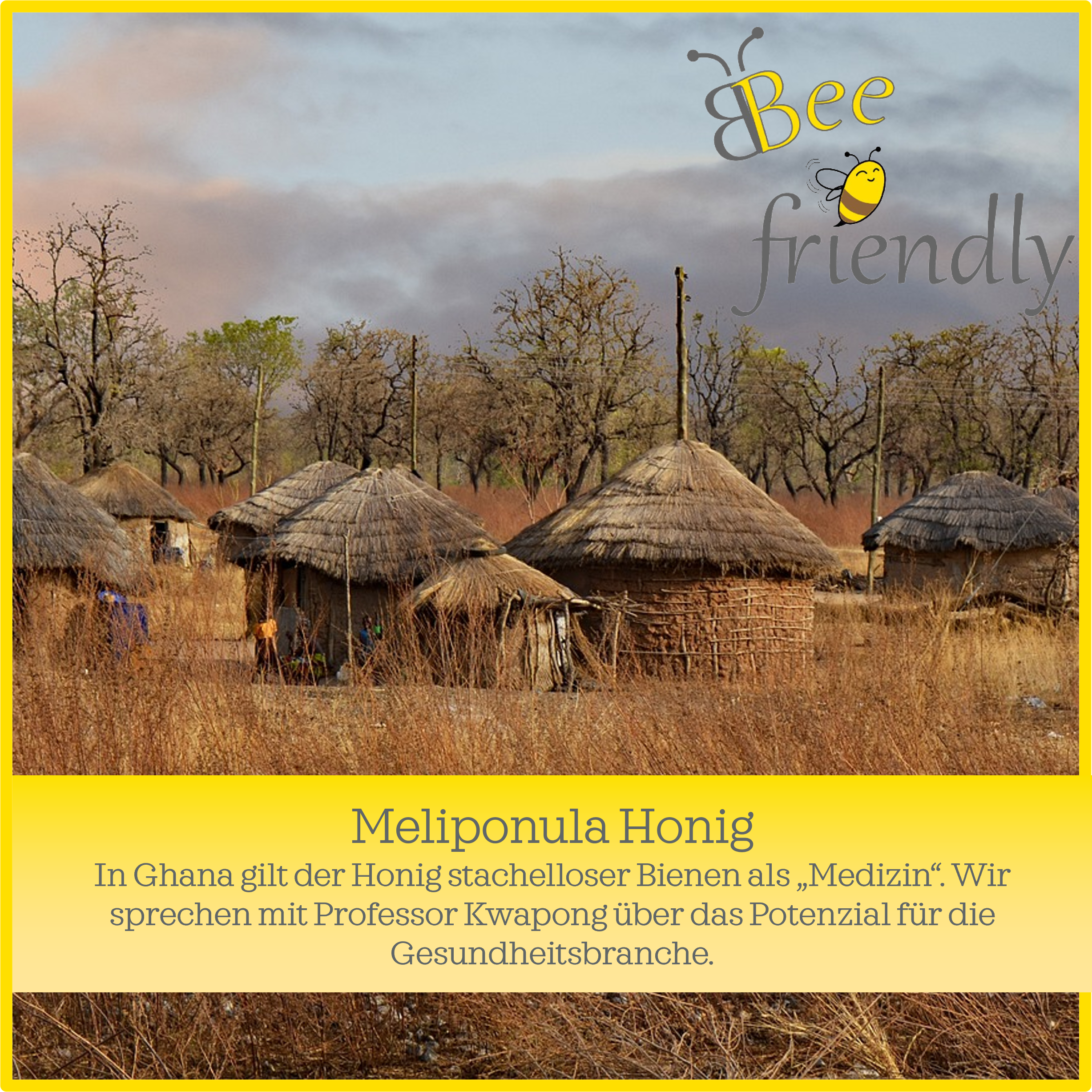 Meliponula-Produkte: Welches Potenzial steckt in Honig von stachellosen Bienen?