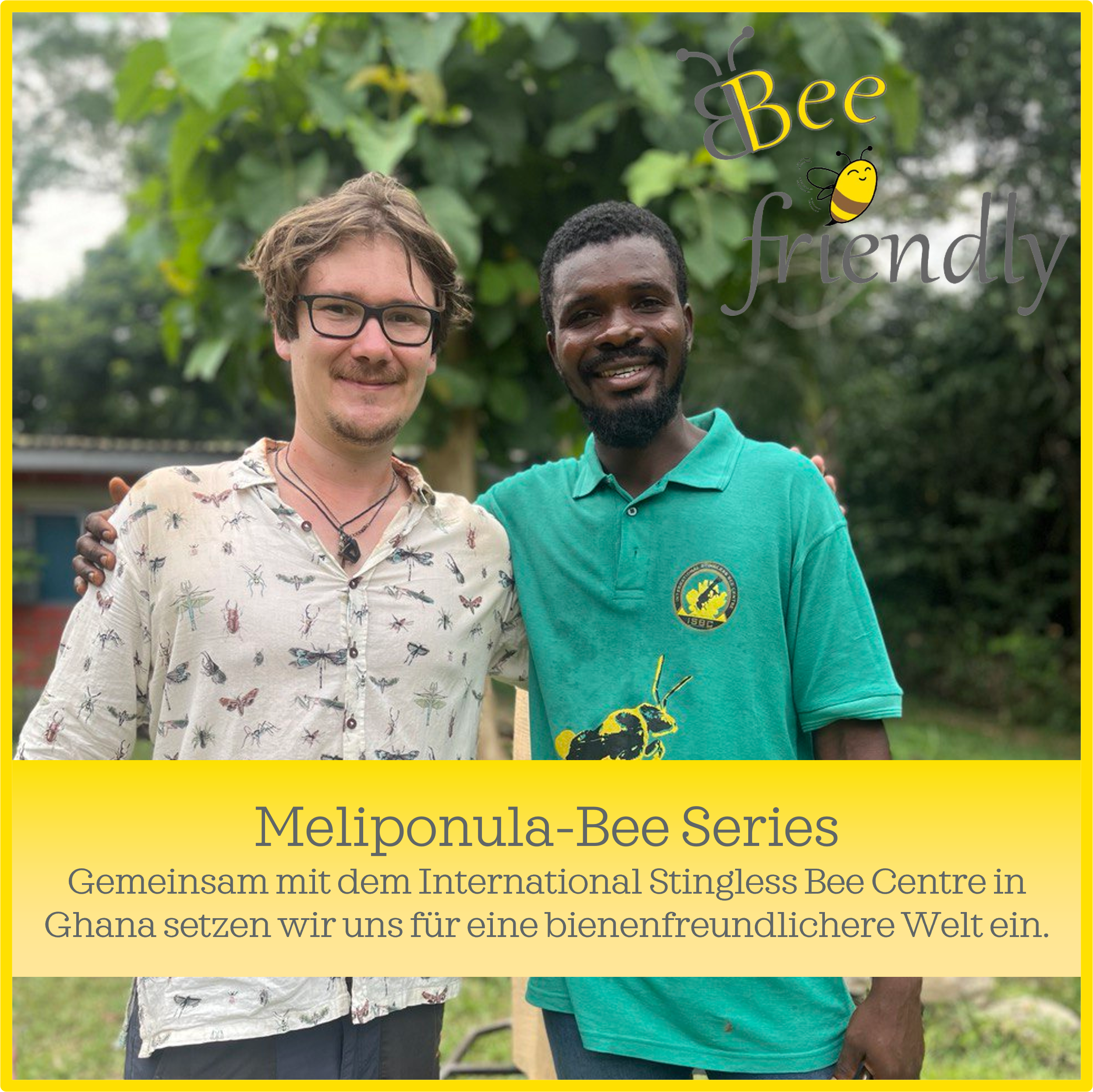 Meliponula-Bienen: Bee friendly in Ghana