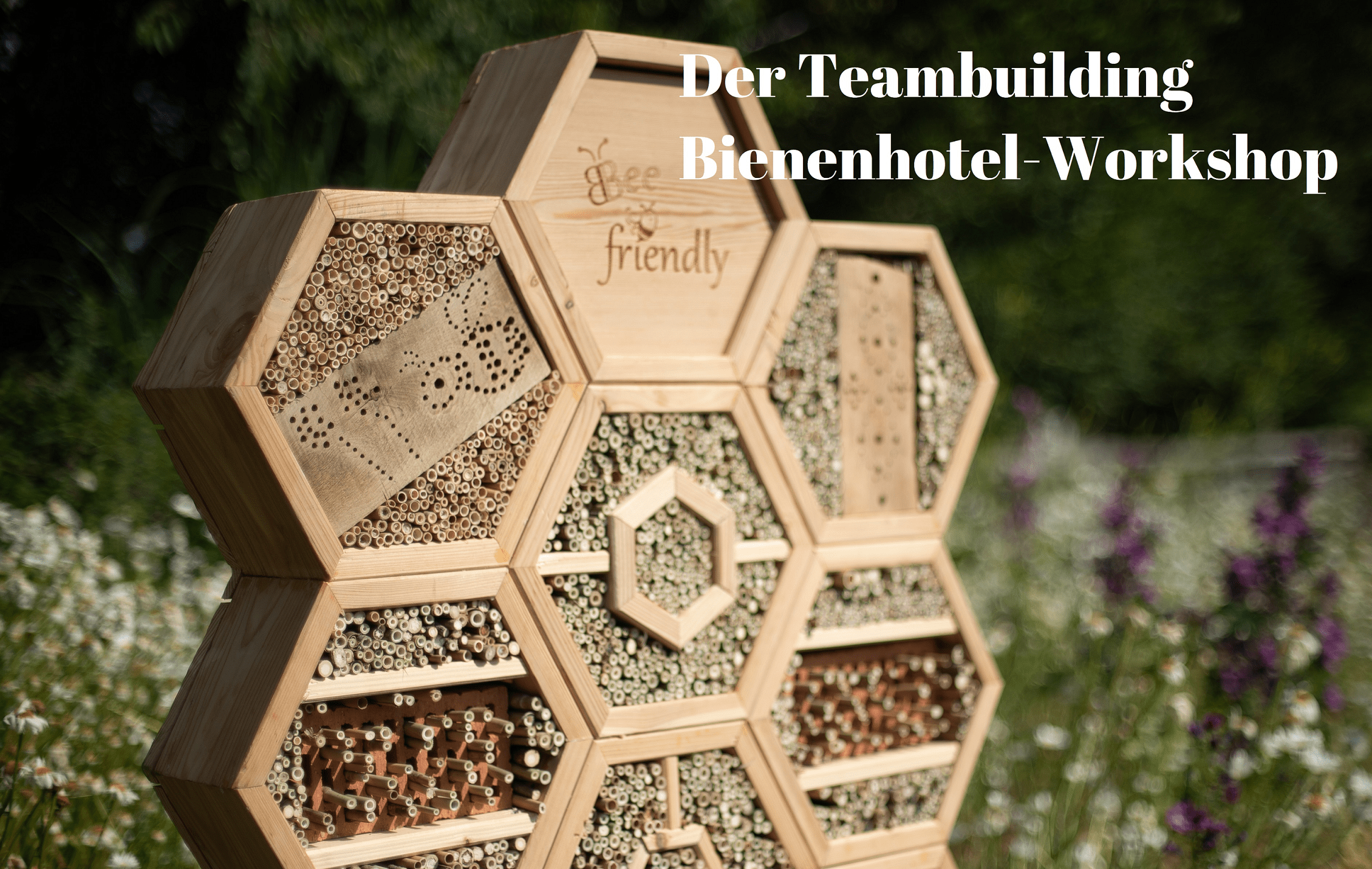 Bee friendly Teambuilding-Workshop